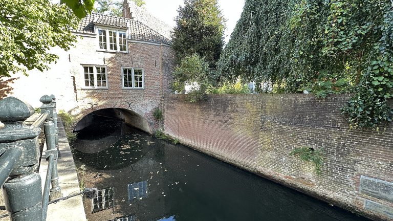 Boottocht over de Binnendieze in Den Bosch
