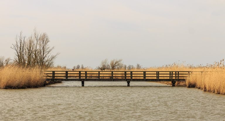 Loopbrug in de Oostvaardersplassen