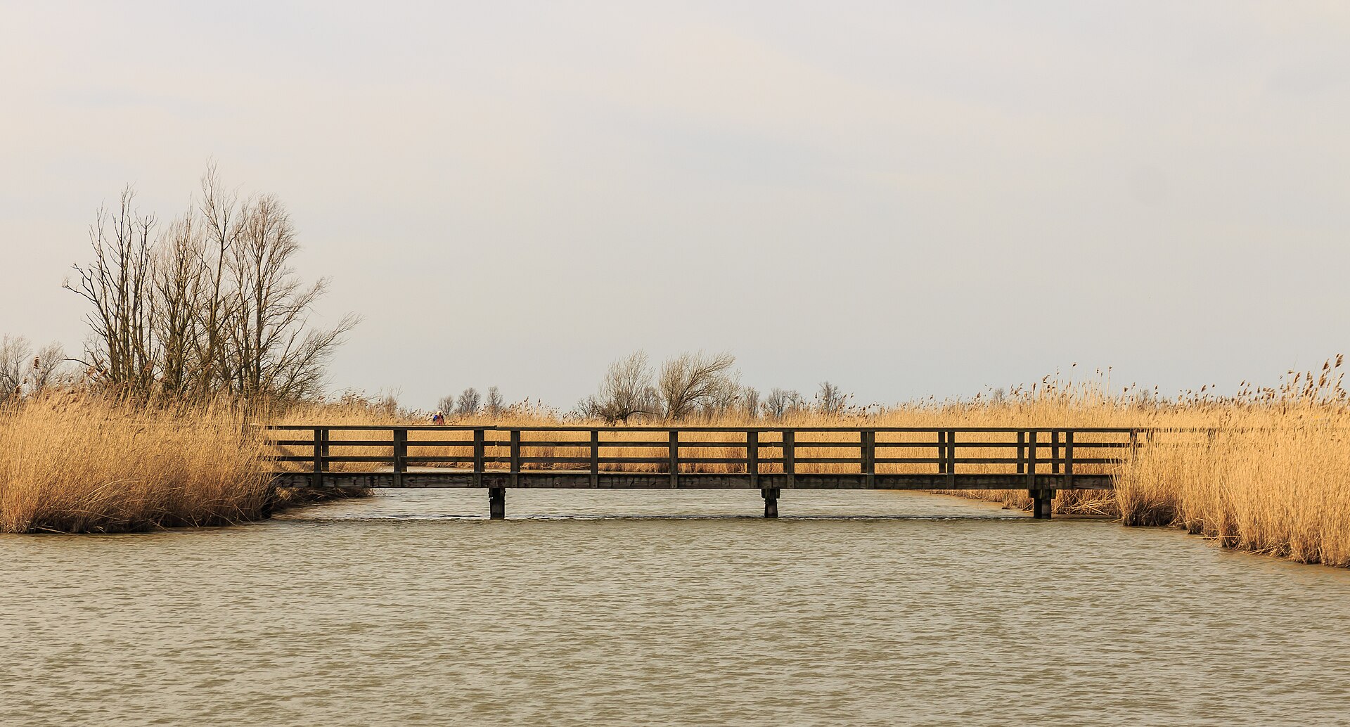Loopbrug in de Oostvaardersplassen