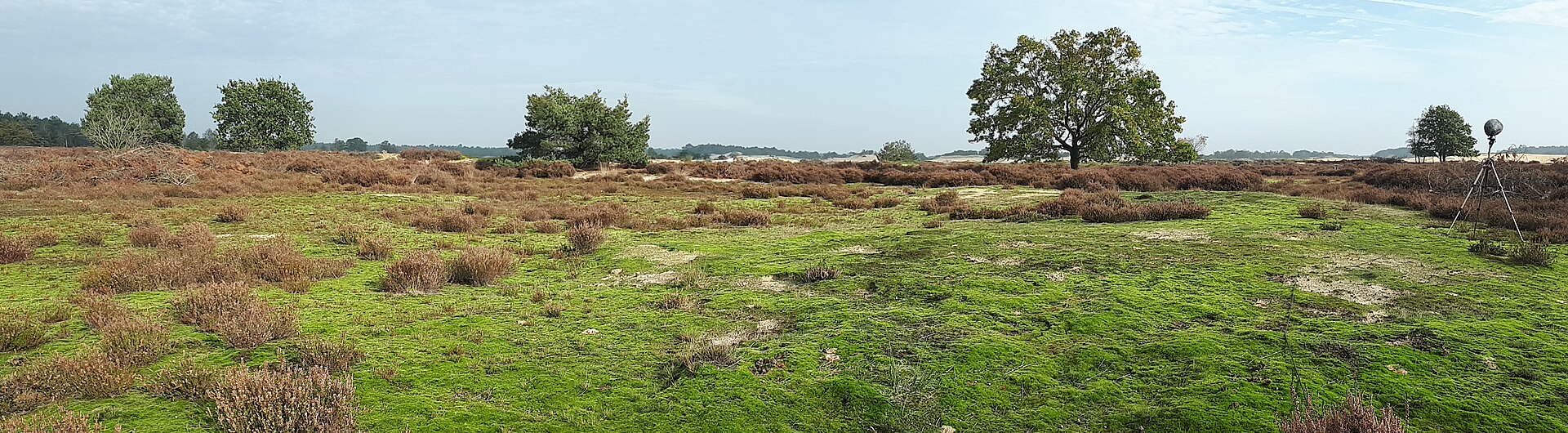Loonse en Drunense Duinen in Brabant